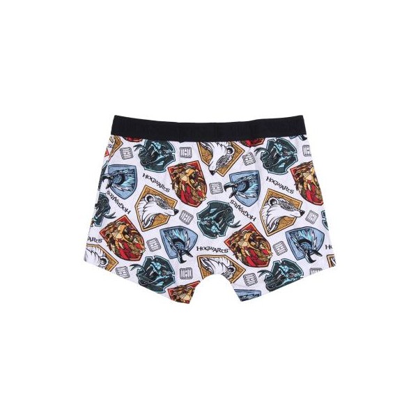 ROPA INTERIOR PACK BOXER 2 PIEZAS HARRY POTTER
