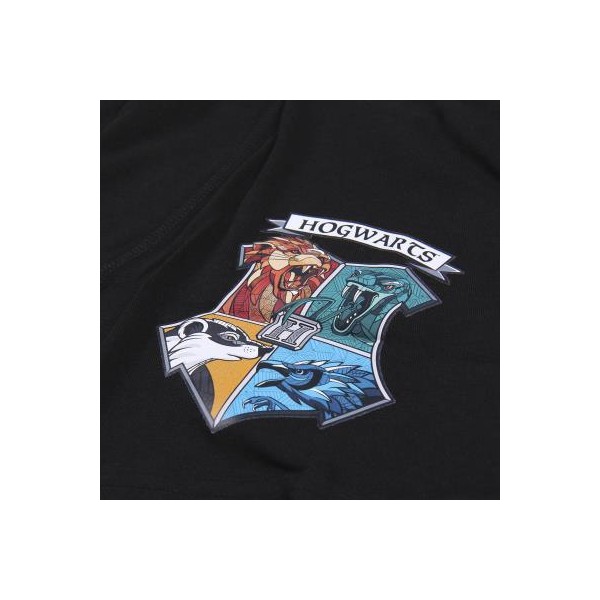 ROPA INTERIOR PACK BOXER 2 PIEZAS HARRY POTTER