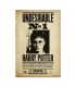 POSTER HARRY POTTER UNDESIRABLE N1