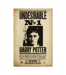 POSTER HARRY POTTER UNDESIRABLE N1