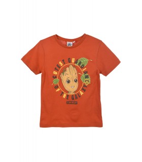 Camiseta infantil para niñ@s Groot