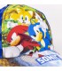 Gorra Visera Curva Sonic