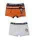 Lote 2 Boxers Dragon Ball Z