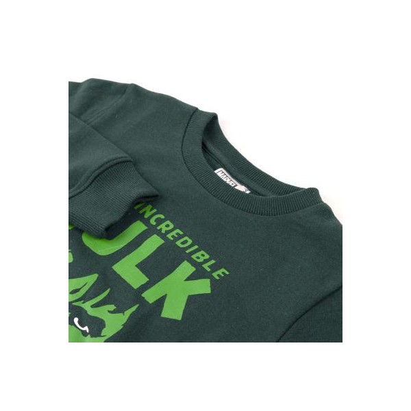 Chandal Cotton Brushed 2 Piezas Avengers Hulk