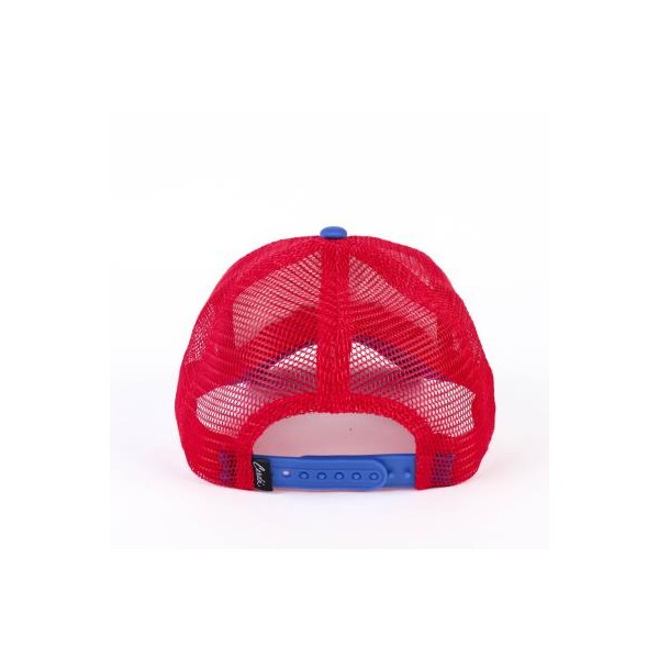 Gorra Visera Curva Spiderman