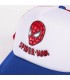 Gorra Visera Curva Spiderman