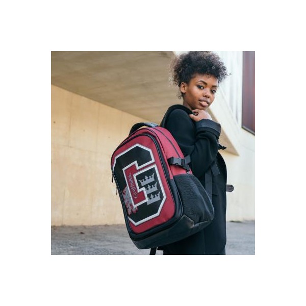 Mochila Casual Técnica Harry Potter