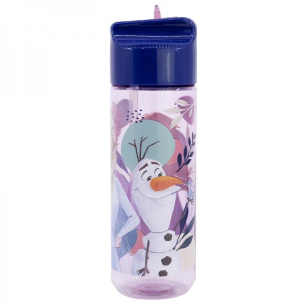 BOTELLA TRITAN HIDRO GRANDE 540 ML FROZEN TRUST THE JOURNEY