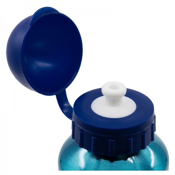 BOTELLA ALUMINIO PEQUEÑA 400 ML BLUEY