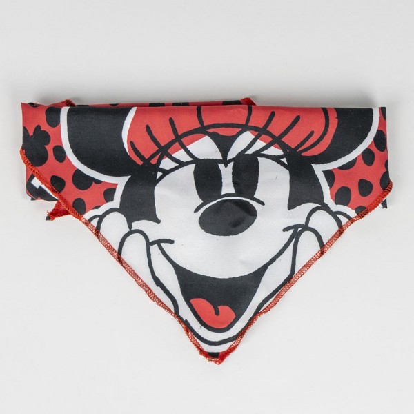 Set Regalo Bienvenida Minnie