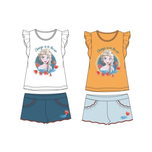 Conjunto Frozen