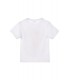 Camiseta Infantil Simba