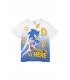 Camiseta infantil Sonic