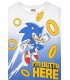 Camiseta infantil Sonic