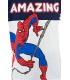 Conjunto Infantil Spiderman