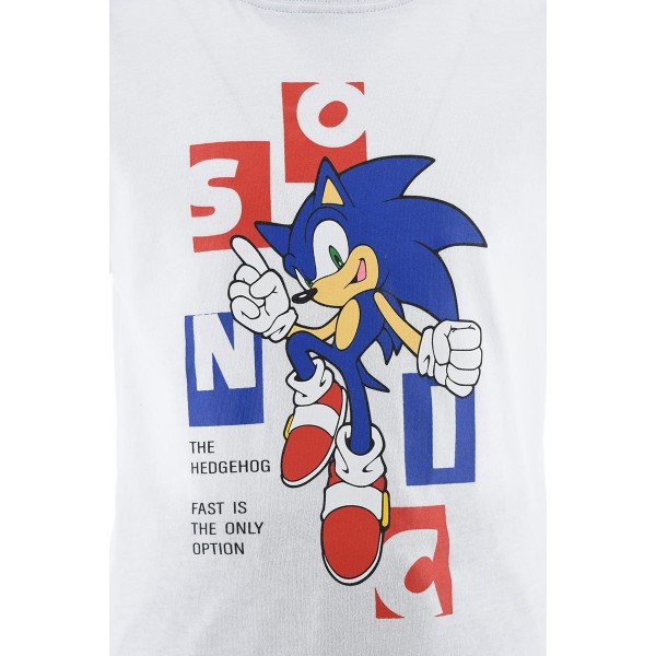Conjunto Infantil Sonic