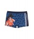 Boxer Playa Dragon Ball