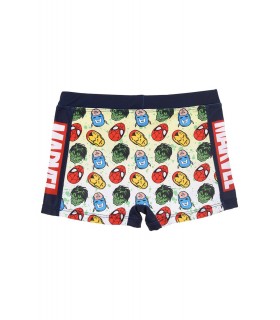 Boxer Playa Avangers
