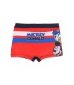 Boxer Playa Mickey