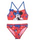 Bikini Minnie