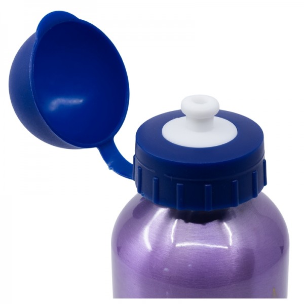 BOTELLA ALUMINIO PEQUEÑA 400 ML FROZEN TRUST THE JOURNEY