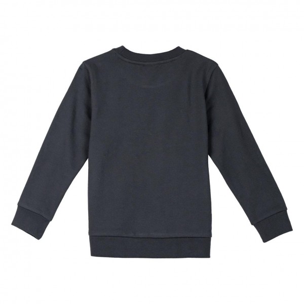 Sudadera Cotton Brushed Lion King