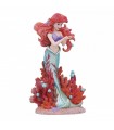 FIGURA BOTÁNICA ARIEL