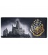 TABLERO DE ESCRITORIO XL HARRY POTTER