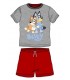 Conjunto Infantil Bluey