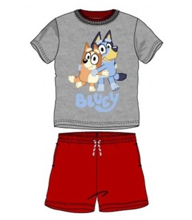Conjunto Infantil Bluey