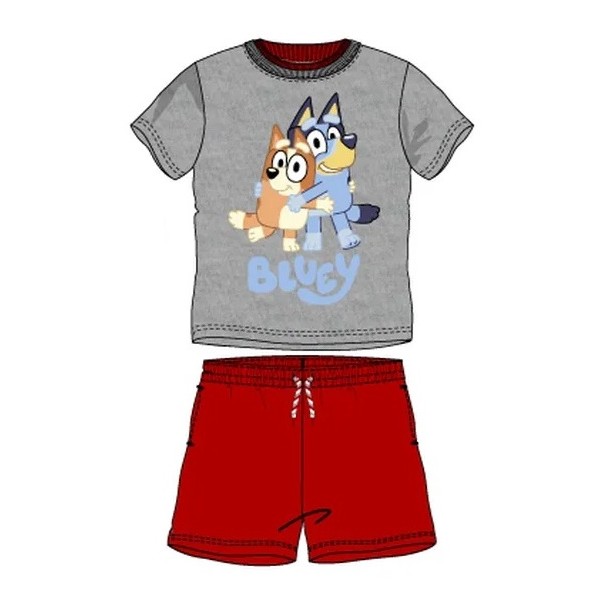 Conjunto Infantil Bluey