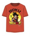 Camiseta Infantil Dragón Ball