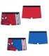 Boxer Baño Spiderman