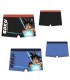 Boxer Baño Dragon Ball