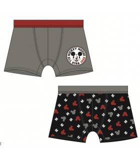 Lote 2 Boxers Mickey