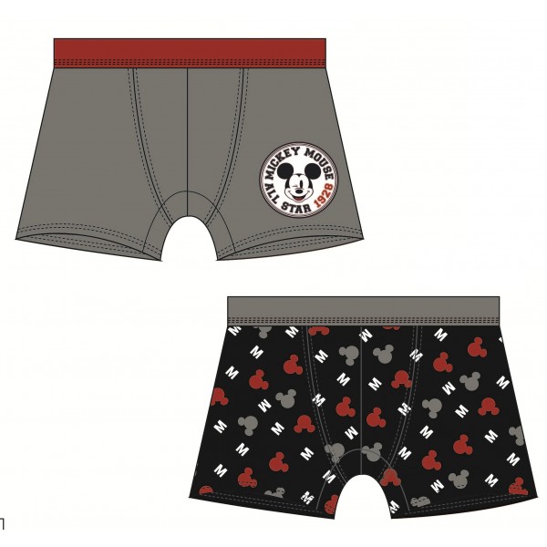 Lote 2 Boxers Mickey