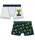 Lote 2 Boxers Hulk
