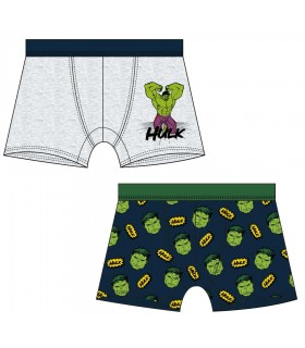 Lote 2 Boxers Hulk