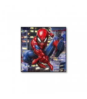 Pintura sobre lienzo Spider-Man 50x50 cm