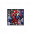 Pintura sobre lienzo Spider-Man 50x50 cm