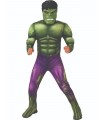 Disfraz infantil de lujo de Hulk