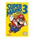 POSTER NINTENDO SUPER MARIO
