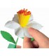 Crea tus flores