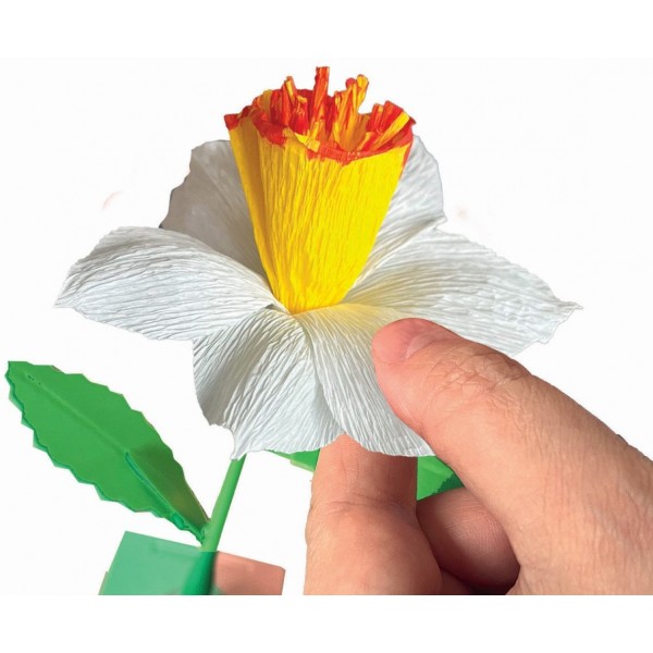 Crea tus flores