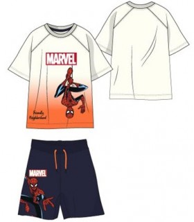 Conjunto infantil Spiderman