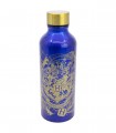 BOTELLA ALUMINIO TREND 740 ML HARRY POTTER MAGIC & MAYHEM