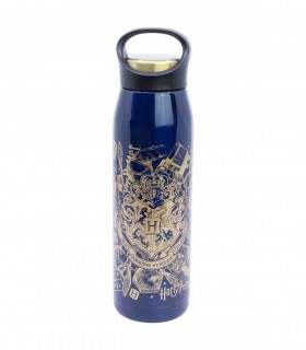 BOTELLA GLAM TERMO ACERO INOXIDABLE 665 ML HARRY POTTER MAGIC & MAYHEM
