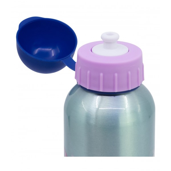 Botella aluminio Frozen 530 ML