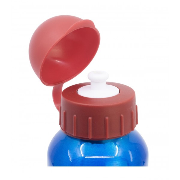 Botella de aluminio 530 ML Mickey