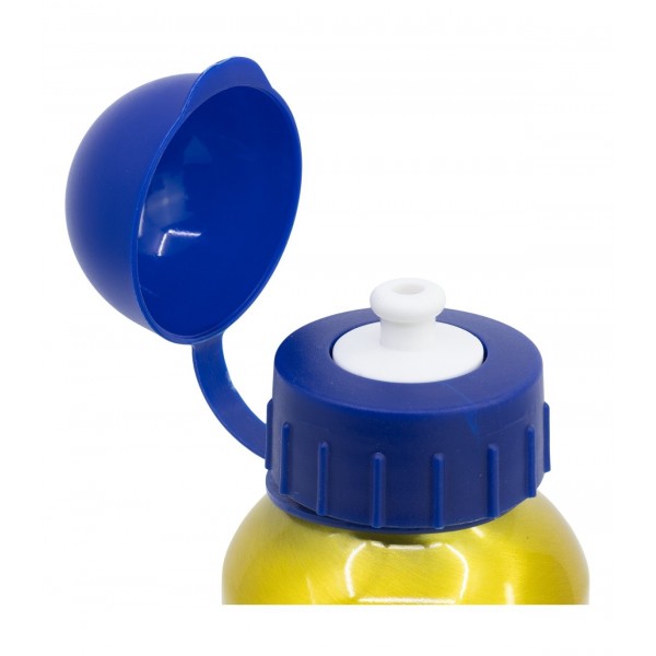 Botella De Aluminio 530 ML Patrulla Canina